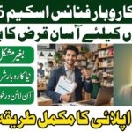 CM Punjab Asaan Karobar Finance 2026 Full Guide