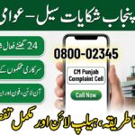 CM Punjab Complaint Cell Phone Number
