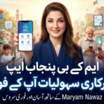 How to Use MKB Punjab Gov PK App for Government Services