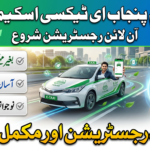 CM Punjab E Taxi Scheme 2026 Apply Online Portal Guide
