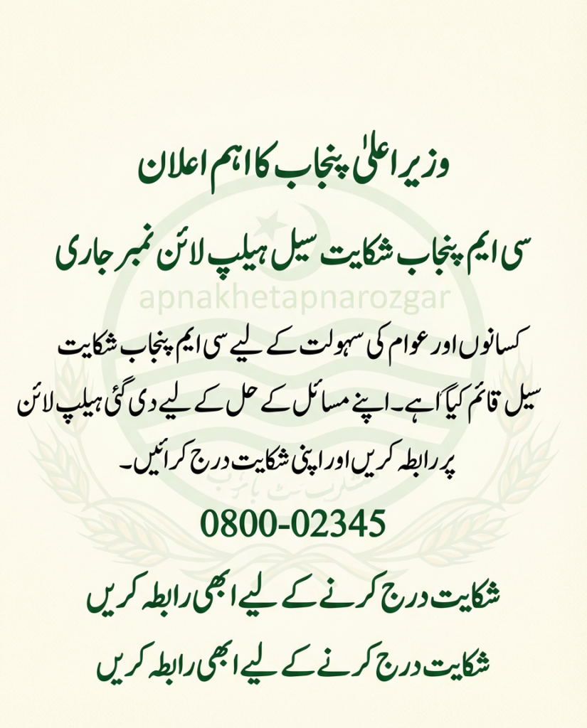 CM Punjab Complaint Cell Phone Number