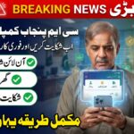 CM Punjab Complaint Portal 2026