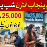 CM Punjab Internship Program – Paid Opportunity for Youth Announced